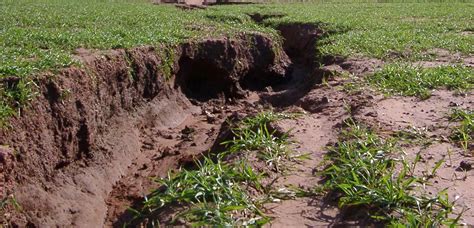 Soil Erosion – Agri-tech Cornwall