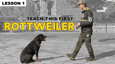 First Things to Teach Your Rottweiler - Dog Training - YouTube