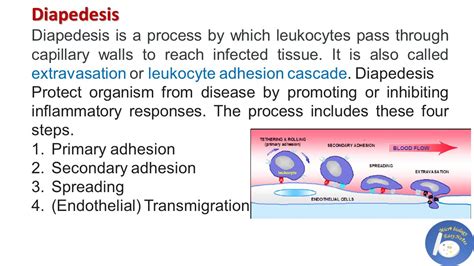 Word of the day ... Diapedesis - Microbiology Easy Notes