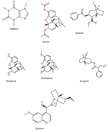 Alkaloids | Definition, Examples & Structure - Lesson | Study.com