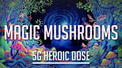 Magic Mushrooms Trip Report: 5g Heroic Dose - YouTube