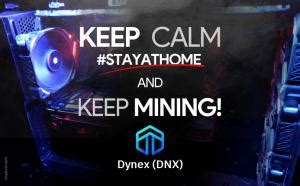 Dynex (DNX) mining calculator - solo vs pool profitability | CryptUnit