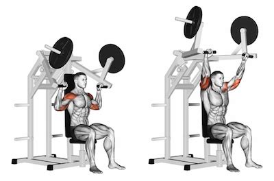 Seated Shoulder Press Smith Machine | Two Birds Home