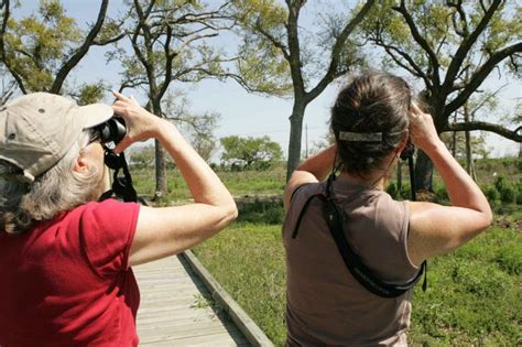 Free picture: two, women, enjoy, favorite activity, birdwatching