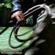 Indiana Jones And The Raiders Of The Lost Ark Indiana Jones' Bullwhip replica movie prop