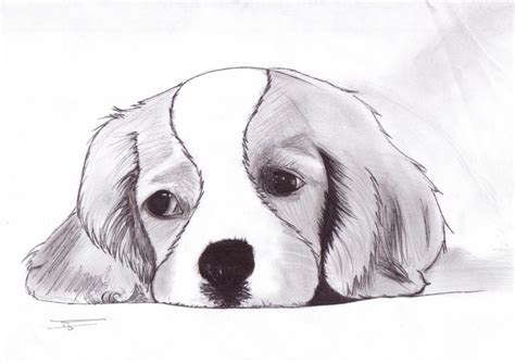 1001 + Idee per Disegni a matita facili e molto belli (con immagini) | Arte cane, Schizzi di ...