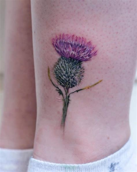 65 Astonishing Thistle Tattoo Ideas