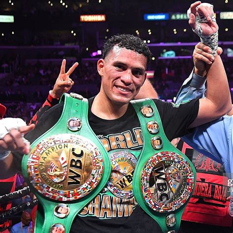 David Benavidez Boxing Benavidez, Wbc, Boxers, Champion, David ...