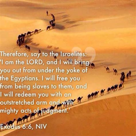 Exodus 6:6, NIV | Exodus 6, Bible old testament, Scripture verses