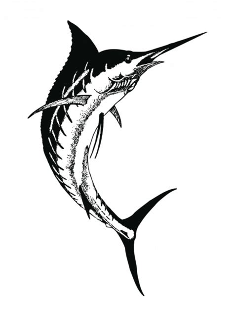 Drawing Clipart Swordfish Drawing Black And White - Swordfish Tattoo - Png Download - Full Size ...