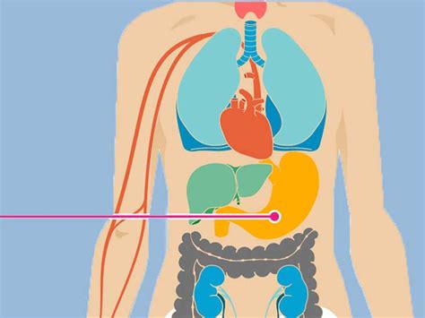 Chemotherapy Side Effects: 18 Ways Chemo Affects You