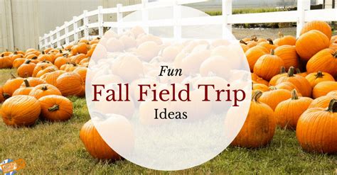 Fun Fall Field Trip Ideas