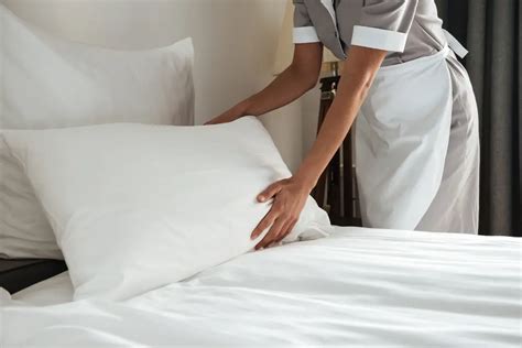 Bed bugs are a pest to deal with for Las Vegas hotels — CDC Gaming Reports