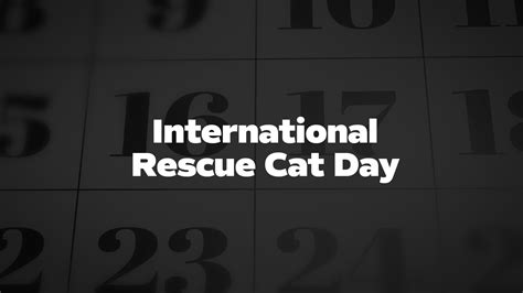 International Rescue Cat Day - List of National Days