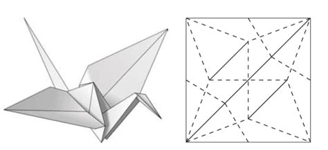 The Organic Math of Origami - Cheenta Academy