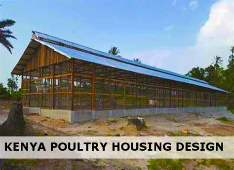 32++ Low cost poultry house plans for 1000 chickens info