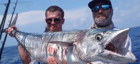 How to Catch Kingfish - Kingfish Charters in Miami, Florida