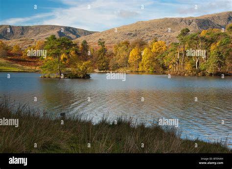 Tarn Hows Autumn Stock Photo - Alamy