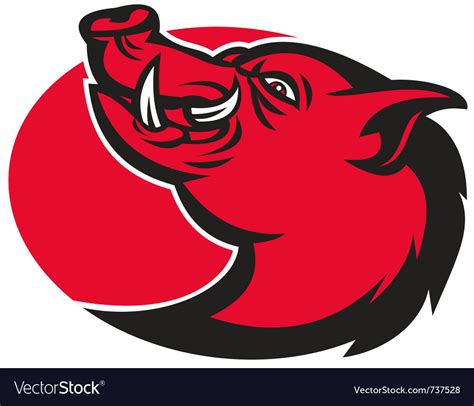 Razorback wild hog Royalty Free Vector Image - VectorStock