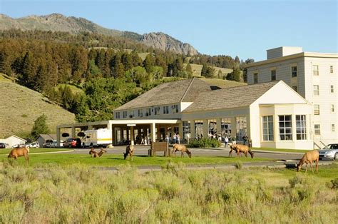 MAMMOTH HOT SPRINGS HOTEL & CABINS - Updated 2024 Prices & Reviews (WY)