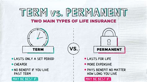 Term vs. Permanent Life Insurance – Napkin Finance