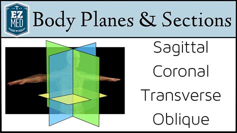 Oblique Plane Movement Examples