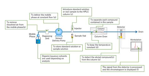 Hplc Chromatogram Analysis