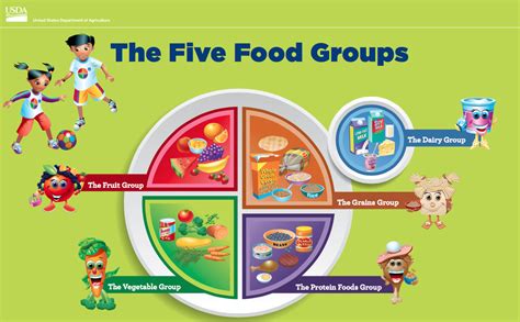 4) The Five Main Food Groups - Toddler/Two-year-old Nutrition