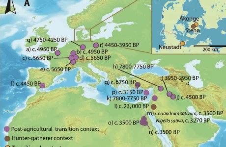 On the Origin of Spices | Natural History Magazine