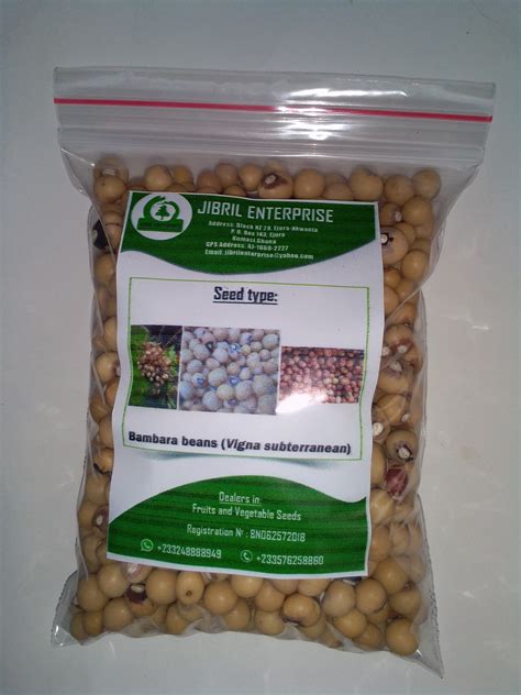 Bambara beans African yellow beans Vigna subterranea 200g | Etsy