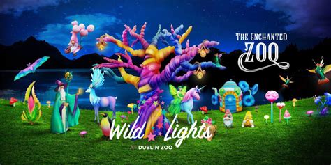 Wild Lights