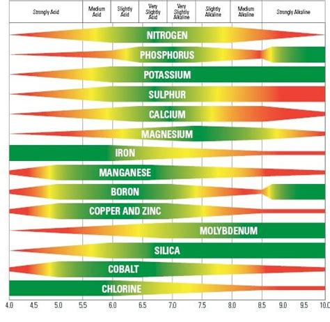 Best Practices for Monitoring pH for Cannabis - Fluence