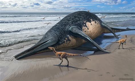 'Largest Reptile Ever' Ichthysoaur Discovered On Family Beach Day