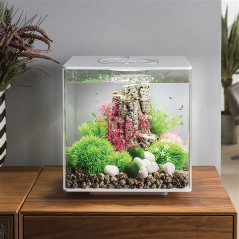 biOrb CUBE 30 Aquarium with LED Light - 8 gallon - white - 72019 - AZPonds & Supplies