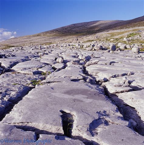 Limestone karst pavement photo WP07891