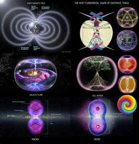 51 best Torus Energy images on Pinterest