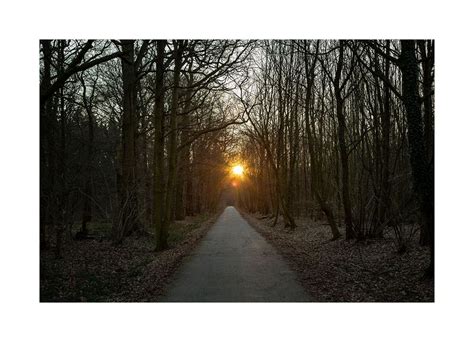 Wald-Sonnenaufgang Foto & Bild | wald, natur, landschaft Bilder auf ...