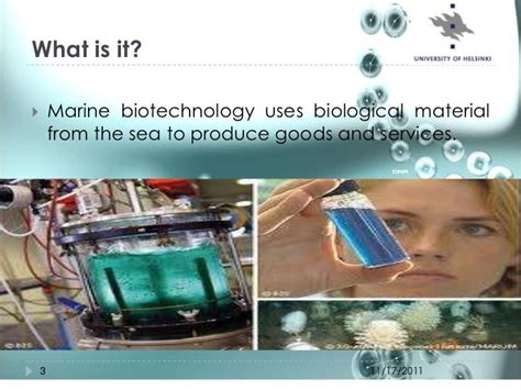 Marine Biotechnology/Algae