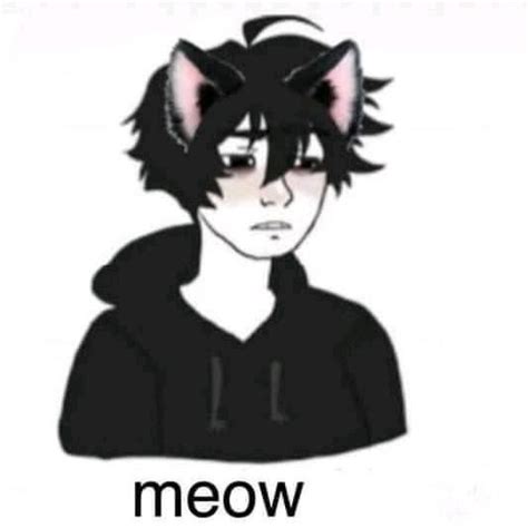 Emo Catboy Pfp - Cat Boy Meme | Ganrisna