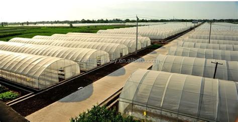 Mushroom Farm Greenhouse With Temperature,Humidity,Co2 Control System - Buy Mushroom Farm ...