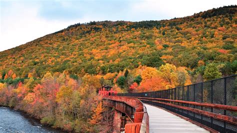 Track when, where peak fall foliage is arriving in the Poconos with new ...