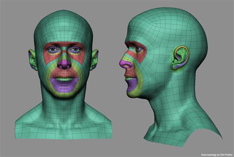 Tom Parker - Facial Topology mini tutorial