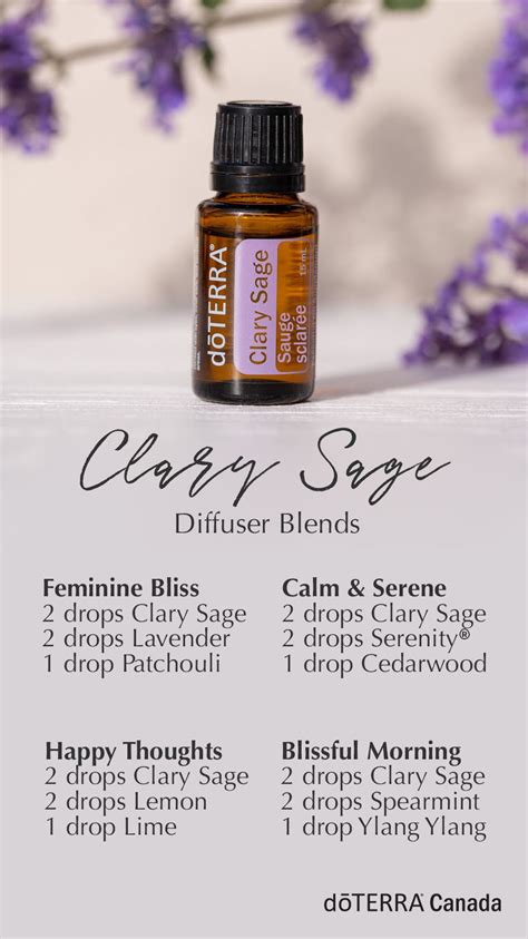 Clary Sage is a biennial or perennial herb that grows up to six feet in height. Clary Sage is ...