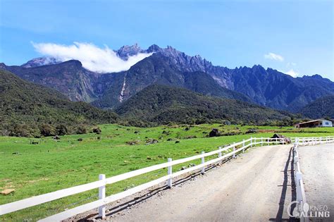 Kundasang-Poring Hot Spring Day Trip | Borneo Calling