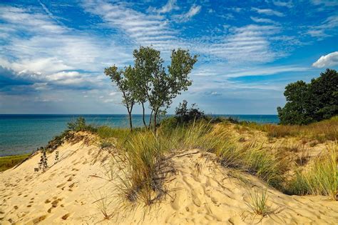 Chesterton: Indiana Dunes State Park Beach — Pet Friendly Travel