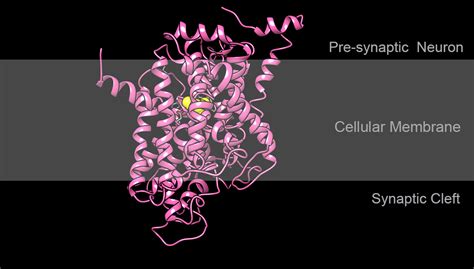 PDB-101: Video Challenge 2021