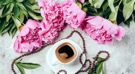 Wallpaper : colorful, coffee, flowers, plants, cup 1919x1061 - WallpaperManiac - 1789267 - HD ...