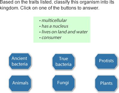 Sign In | Moby max, Protists, Life