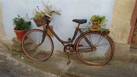 10+ DIY Bicycle Planter Ideas (Cheap But Full Of Creativity) | Balcony Garden Web