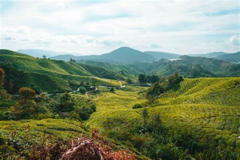 Malaysia Road Trip Guide: 16 Local Destinations To Visit on Your Trip